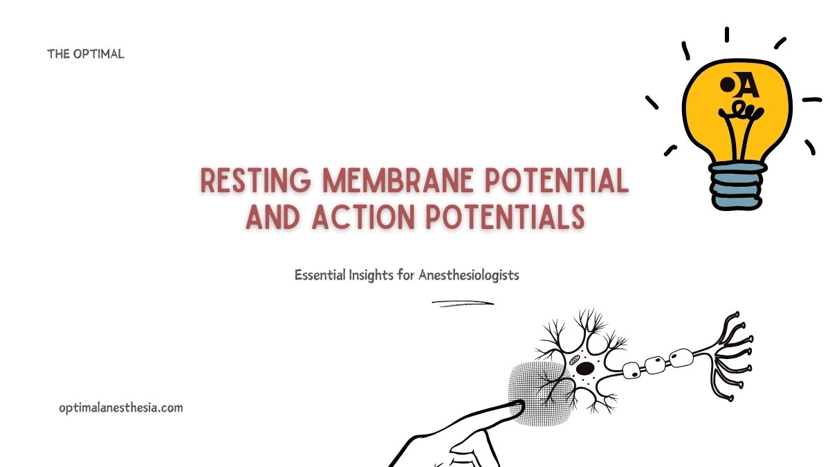 Resting Membrane Potential and Action Potentials: Essential Insights for Anesthesiologists