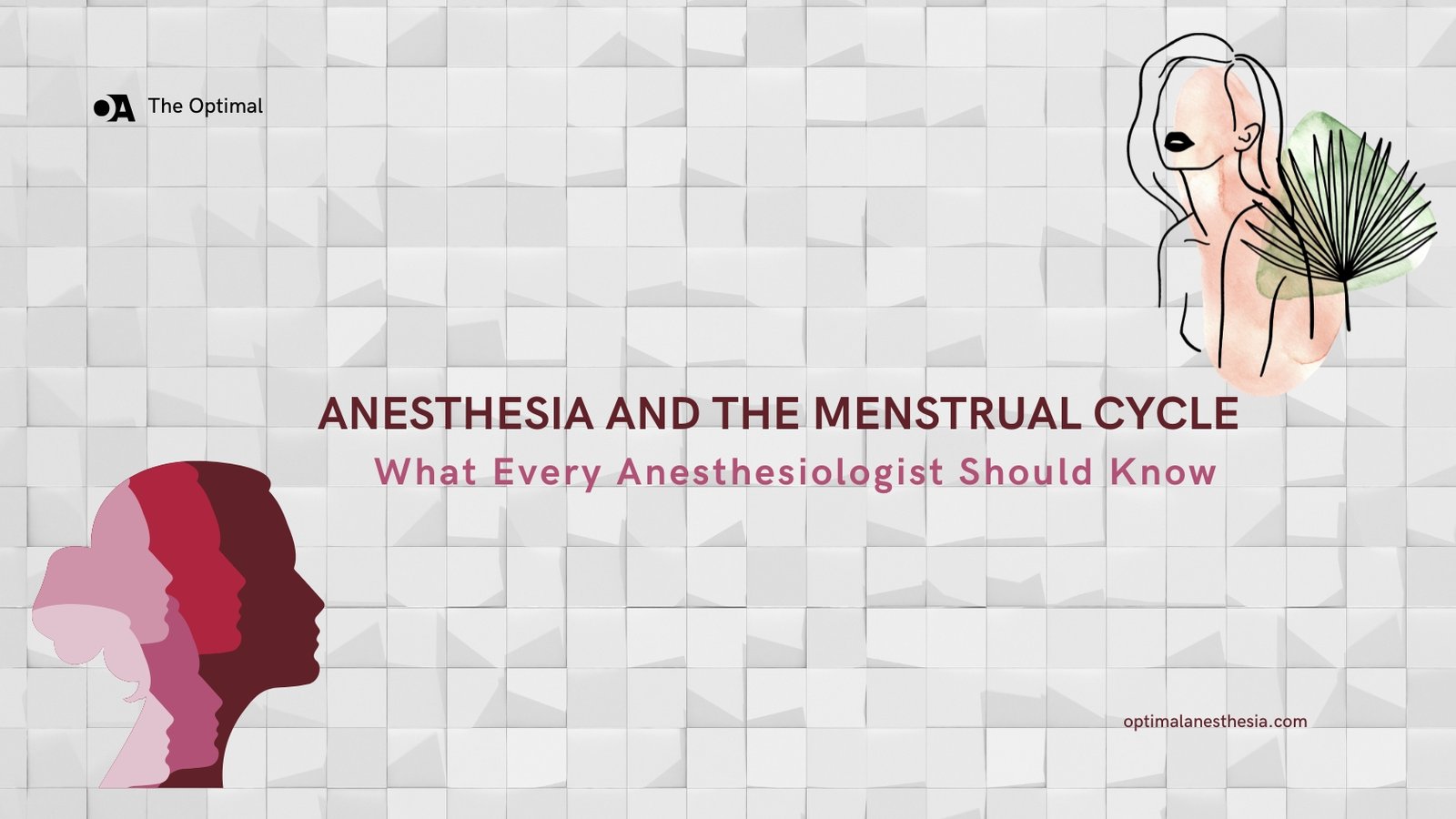 Anesthesiology Meets Cycle Theory: Tailoring Pain Management to the Phases of the Menstrual Cycle